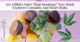 cannabis and heart risks