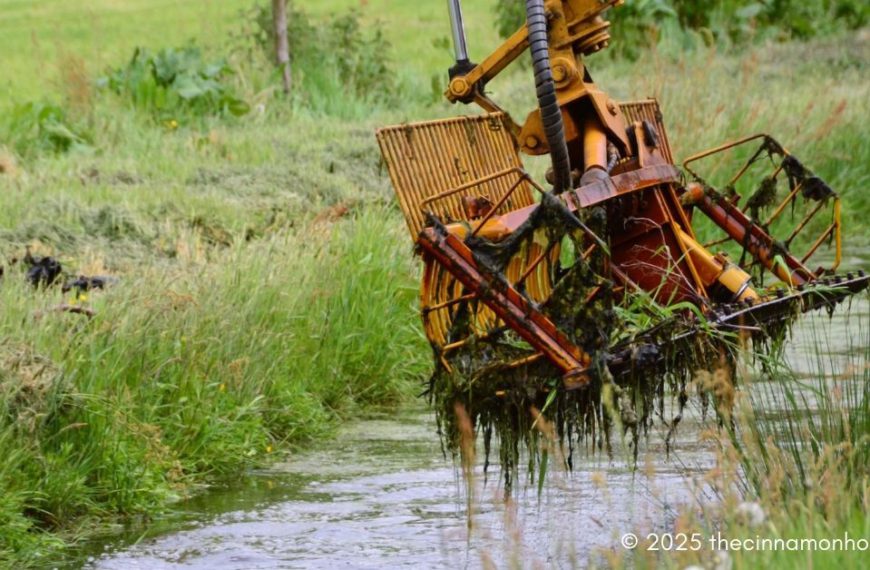 dewatering equipment