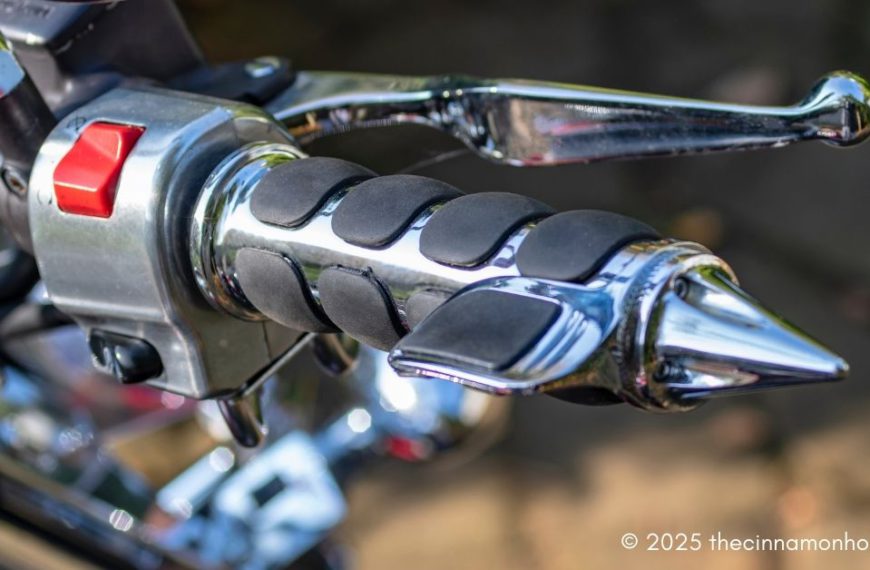 stylish bike accessories