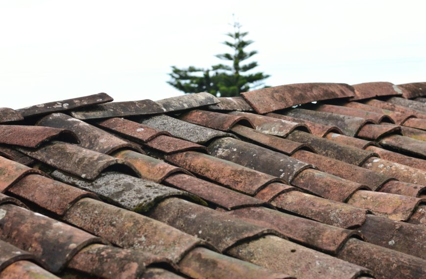 new roof