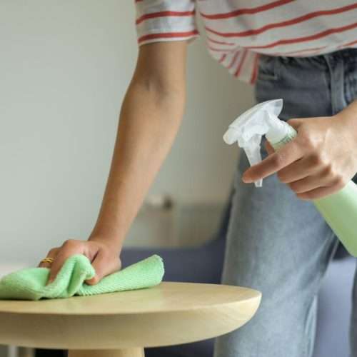 eco cleaning