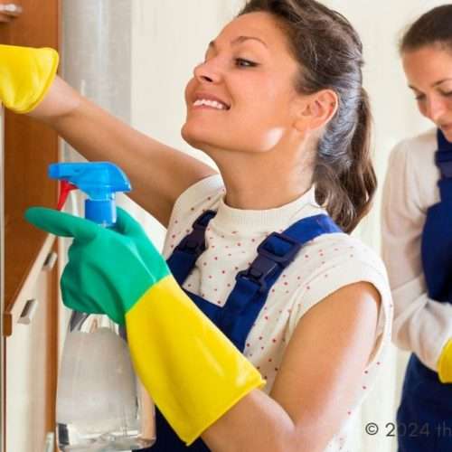 professional cleaners - pro cleaners - pro cleaning service
