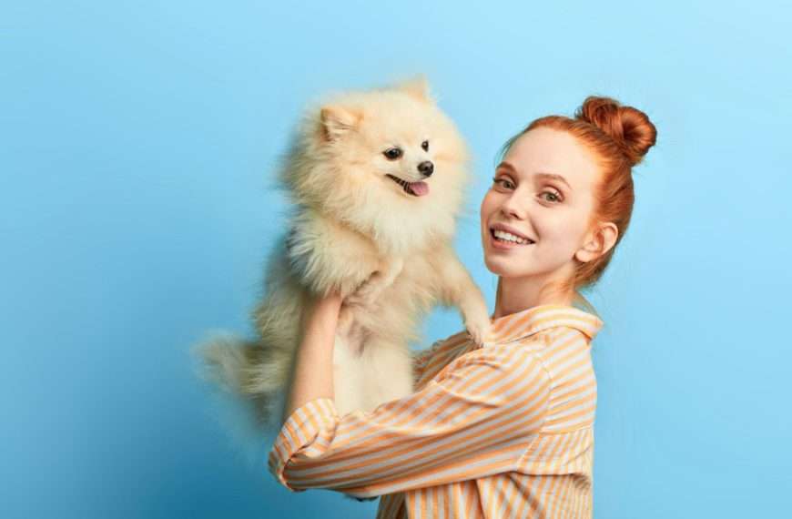 Pet Parenting Hacks