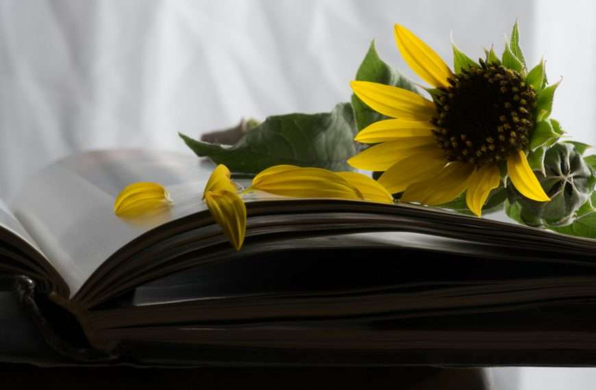planning end of life moments