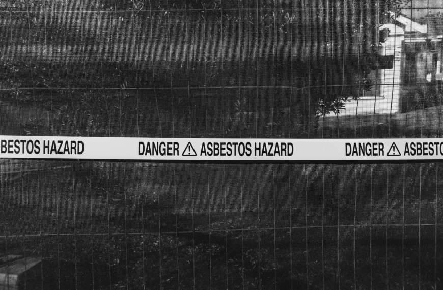 asbestos mesothelioma - Professional Asbestos Removal