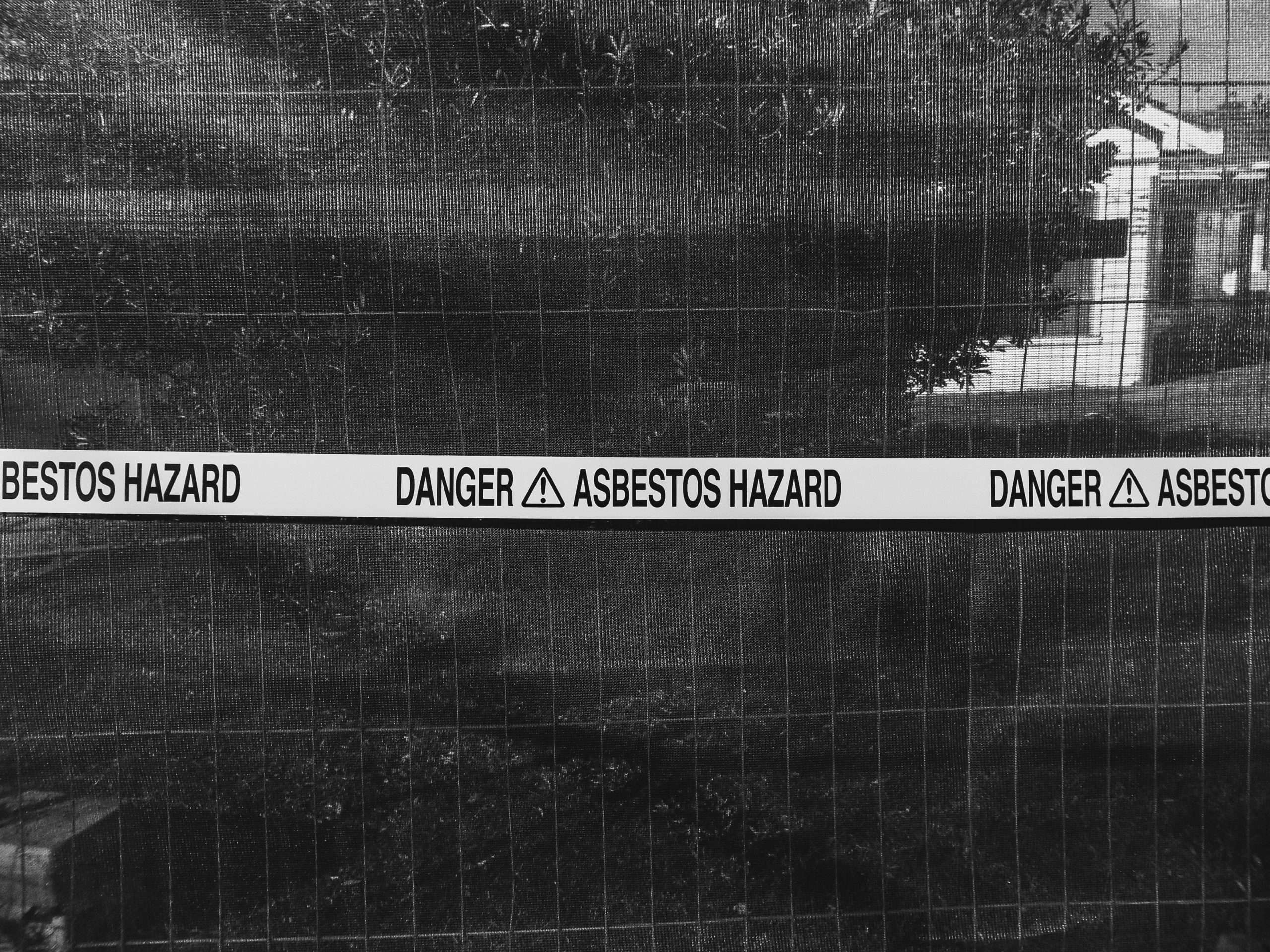 asbestos mesothelioma
