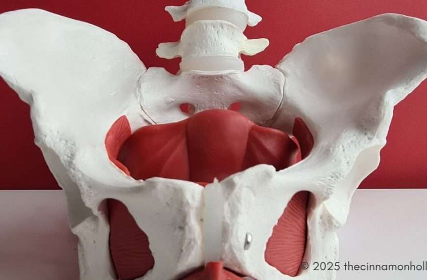 pelvic organ prolapse