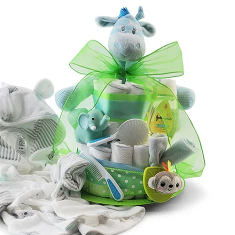 baby boy gifts