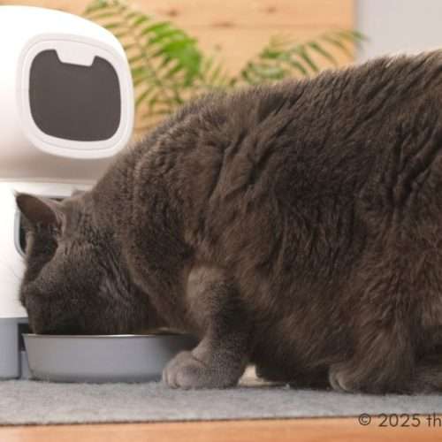 automatic feeders