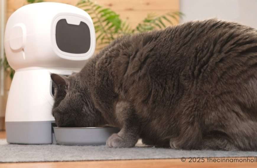 automatic feeders