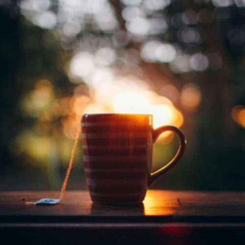 cup of hot tea in the garden