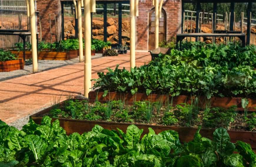 beautiful garden