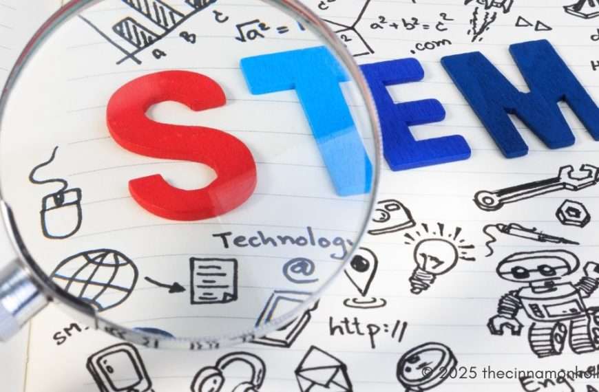 stem career