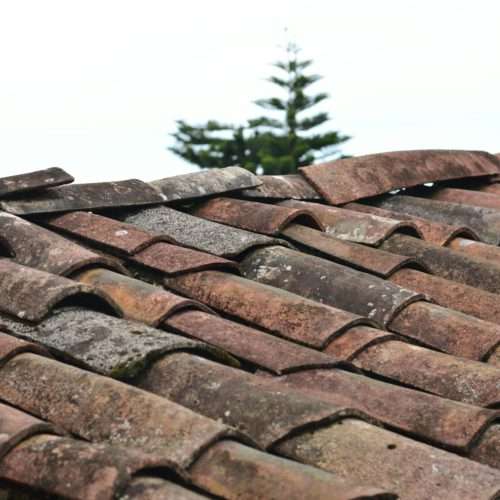seasonal home maintenance tips