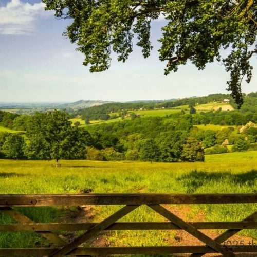 Cotswolds