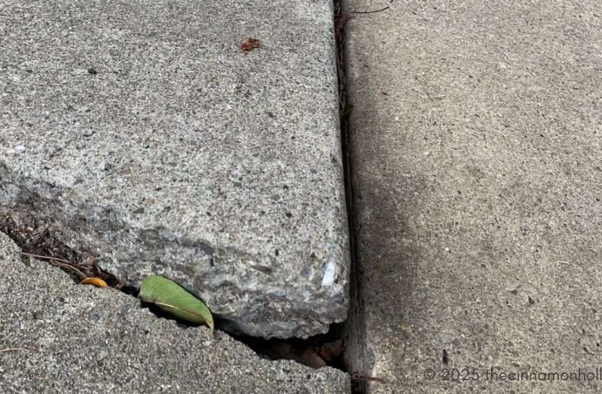 sidewalk violation