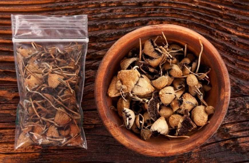 Psilocybin mushrooms shrooms