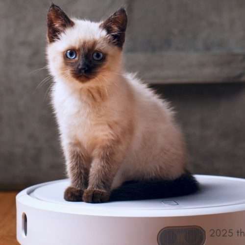 Robot Vacuum for pet hair