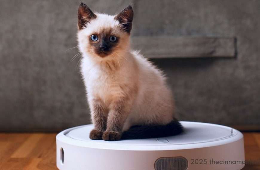 Robot Vacuum for pet hair