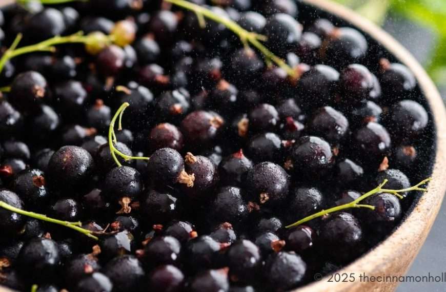 blackcurrant
