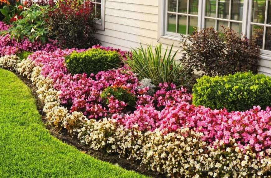 flower garden - How to Plan Bloom Cycles