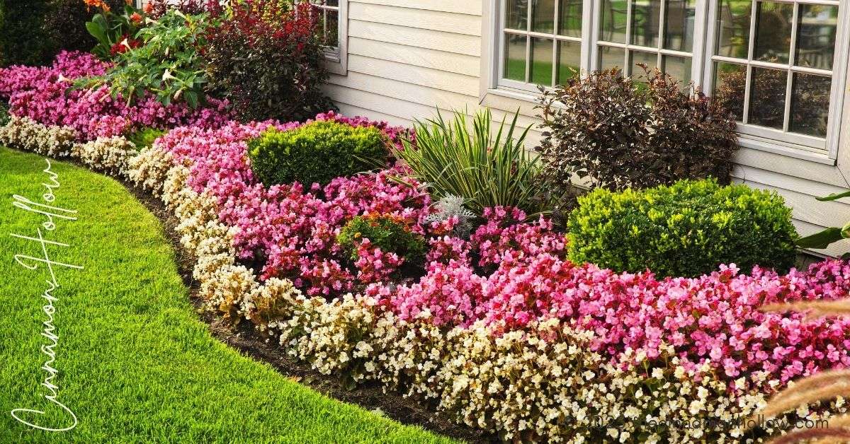 flower garden - How to Plan Bloom Cycles