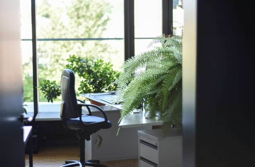 reduce work Stress and anxiety