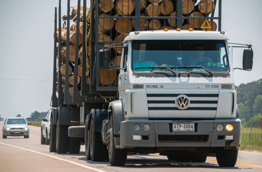 logging truck - health challenges post-truck collision