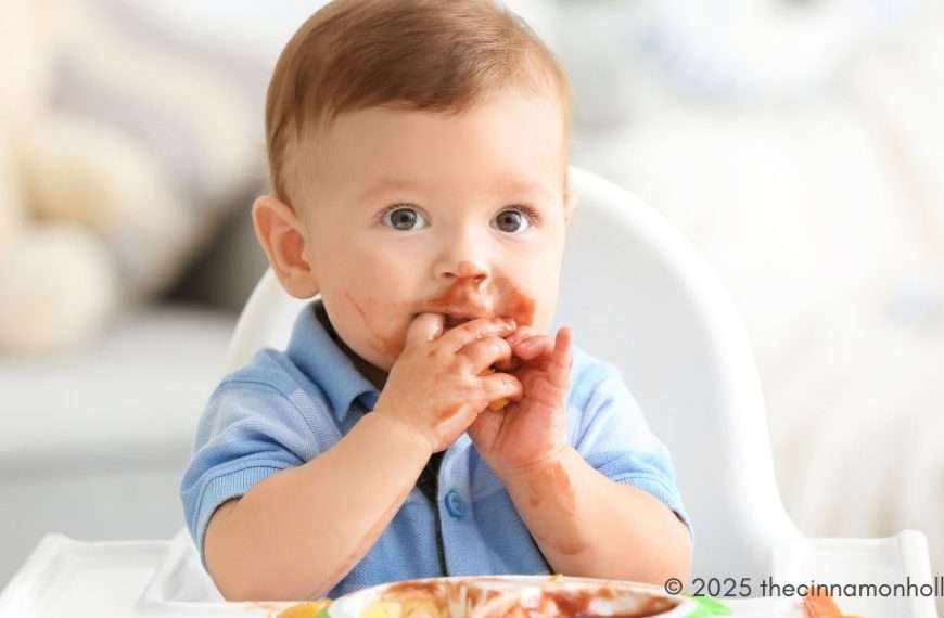 from purees to baby family foods