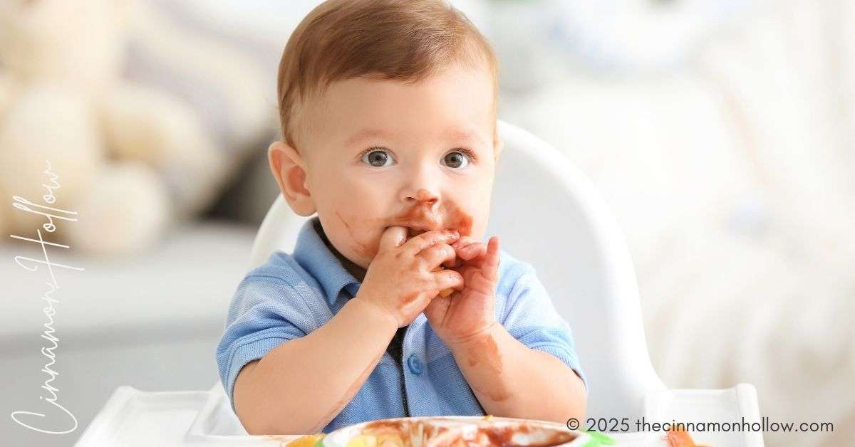 from purees to baby family foods