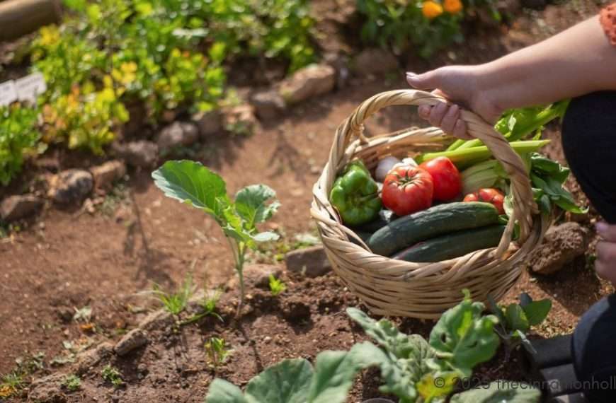 growing your own vegetables