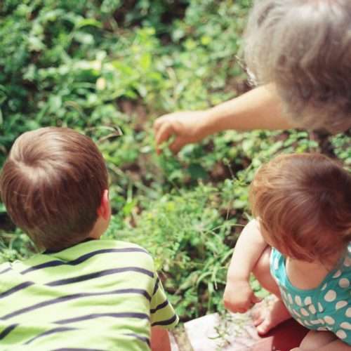 grandparents' rights