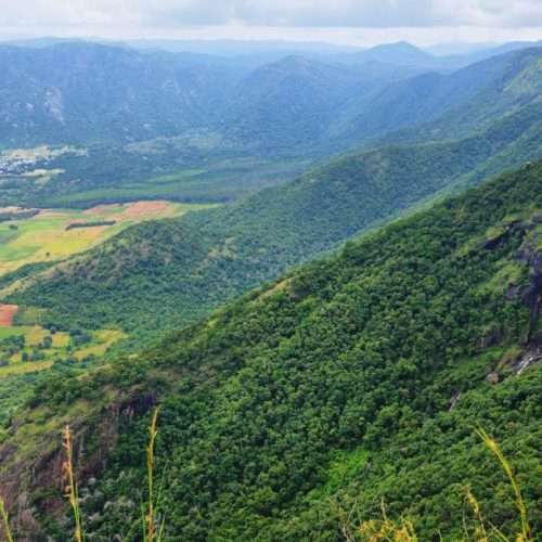 Thekkady Plantation Visit