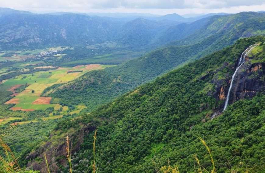 Thekkady Plantation Visit