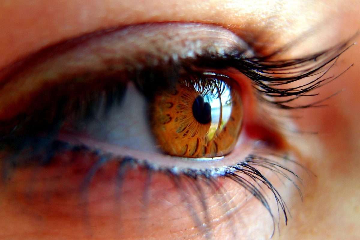 eyelash extensions