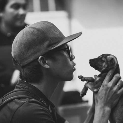 puppy