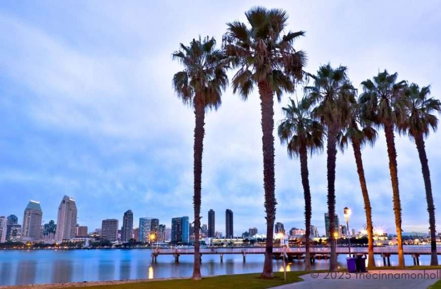 Coastal Cure for Chronic Ailments in San Diego
