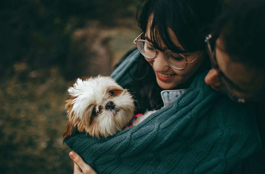What To Do When Your Pet Has Become Ill