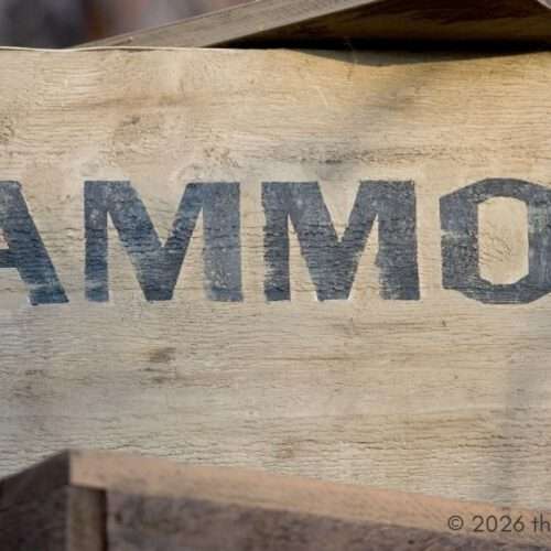 ammo