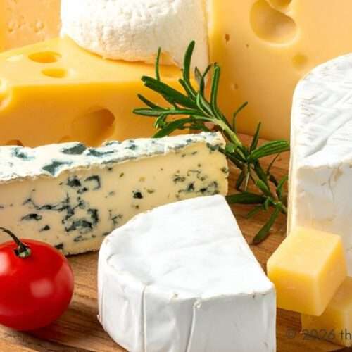 cheese
