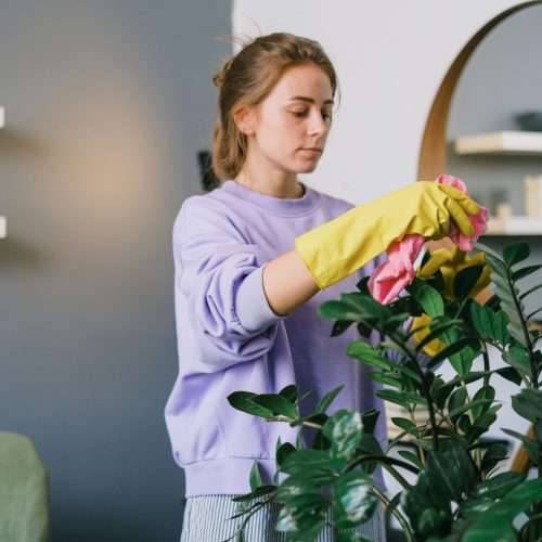 surface cleaning - Household Maintenance Routine