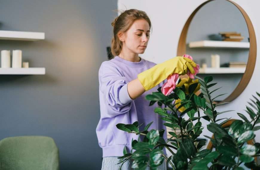 surface cleaning - Household Maintenance Routine