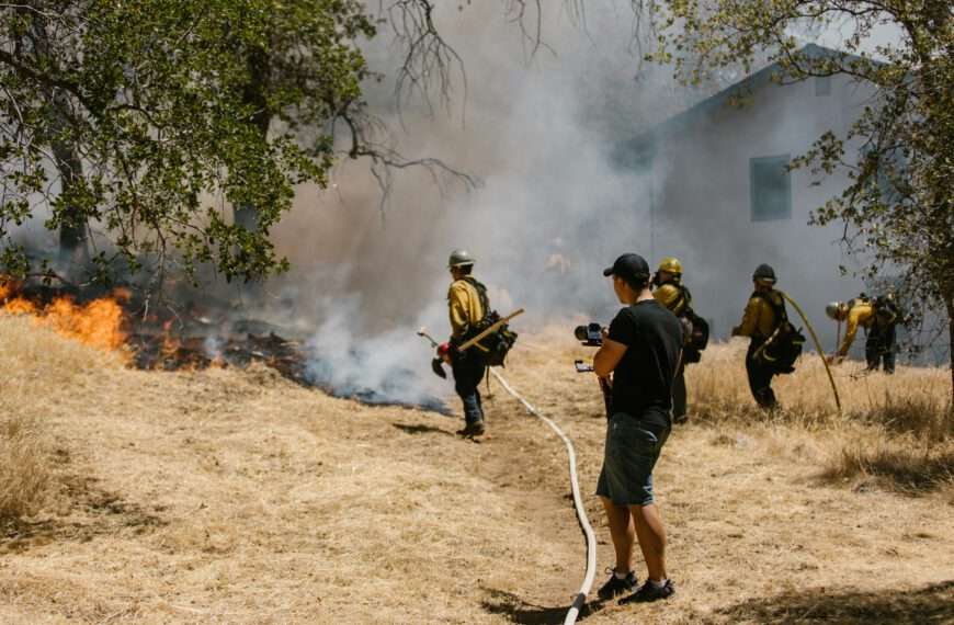 Fire Restoration