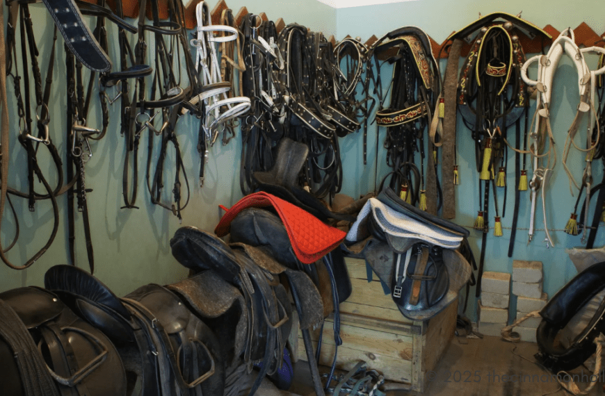 Top 3 Tack Shops to Find a Quality Used Saddle (2026)