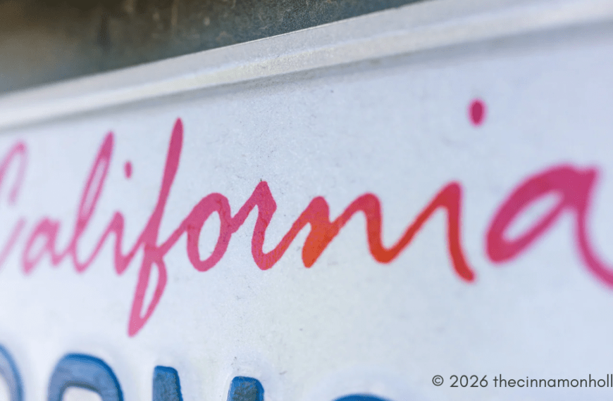 How License Plate Reognition Makes Parking Easier and Faster