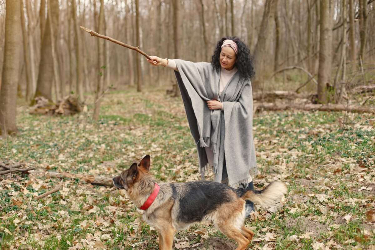 dog training