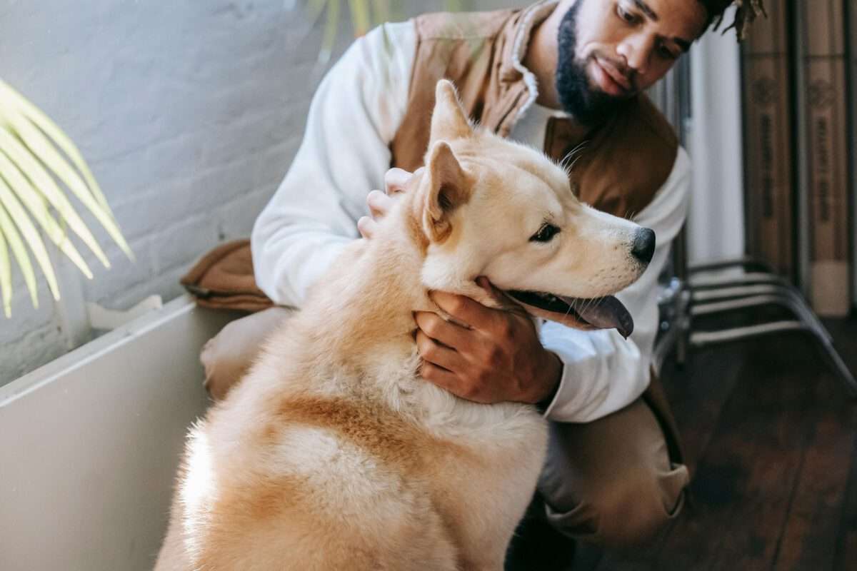 Animal Health