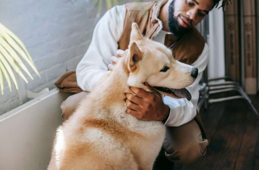 Animal Health