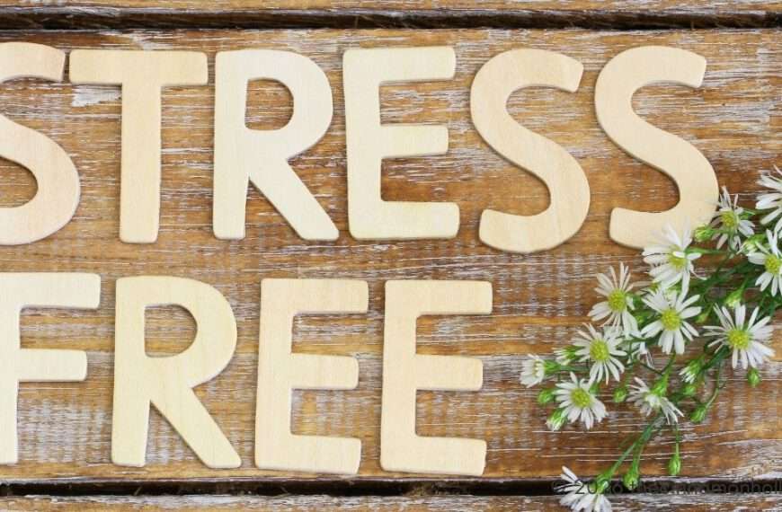 Stress-Free Hosting