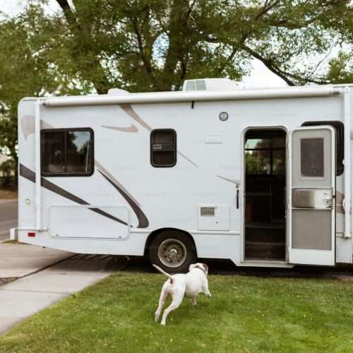 RV Adventure - Year-Round Dog Care and travel tips